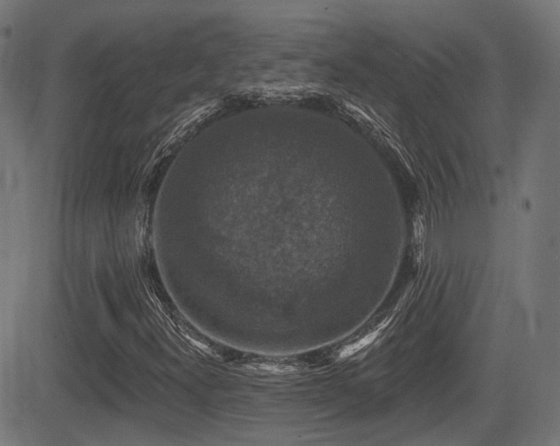 X0000081441300200701121156