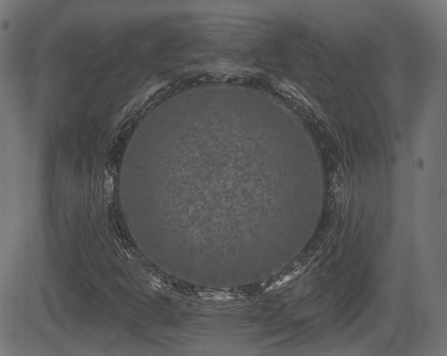 X0000081441302200701121156