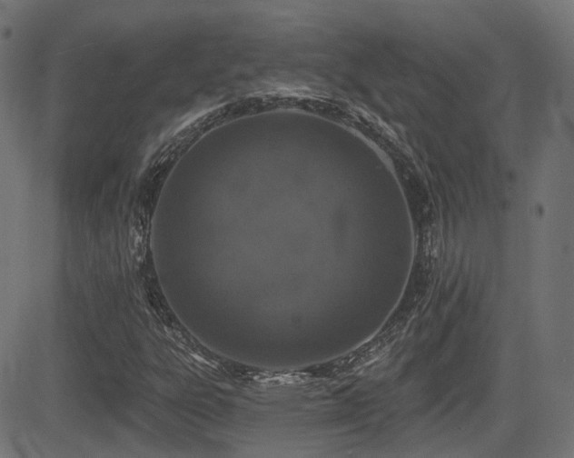 X0000081441303200701121156