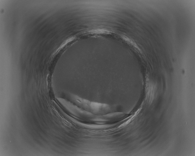X0000081441305200701121156
