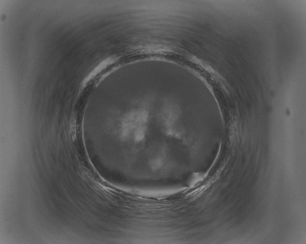 X0000081441306200701121156
