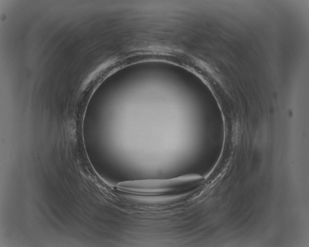 X0000081441307200701121156