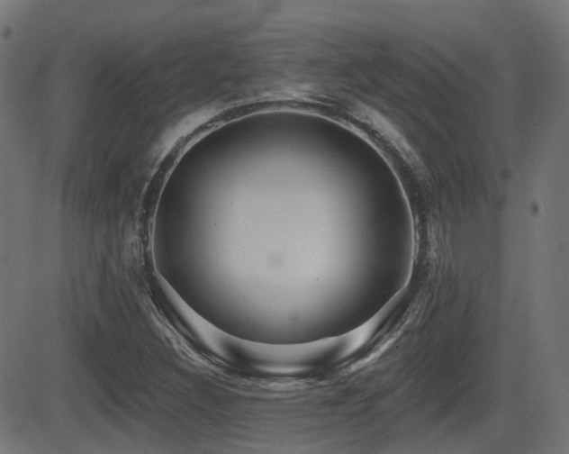 X0000081441308200701121156