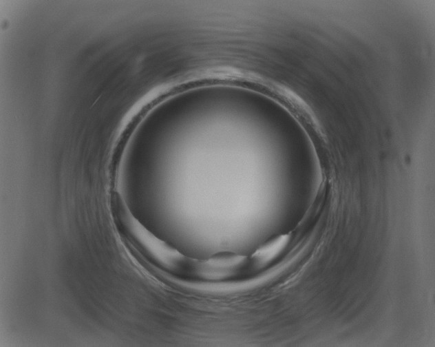 X0000081441326200701121156