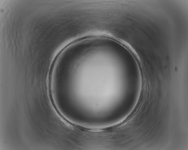 X0000081441343200701121156