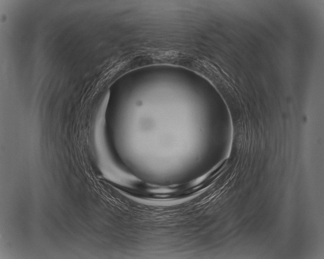 X0000081441345200701121155