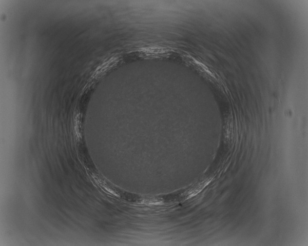 X0000081441346200701121155