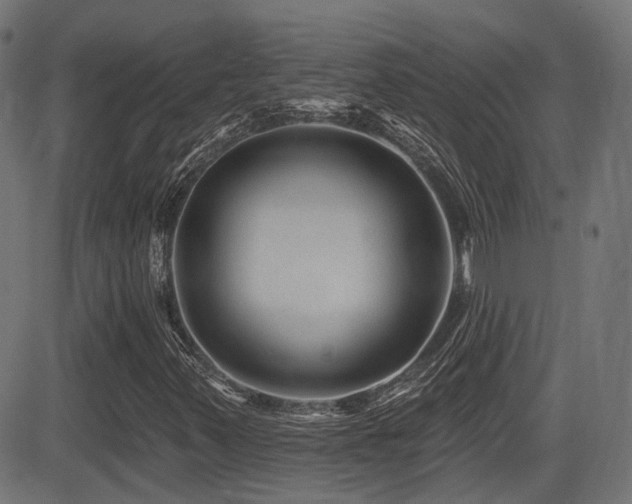 X0000081441347200701121155