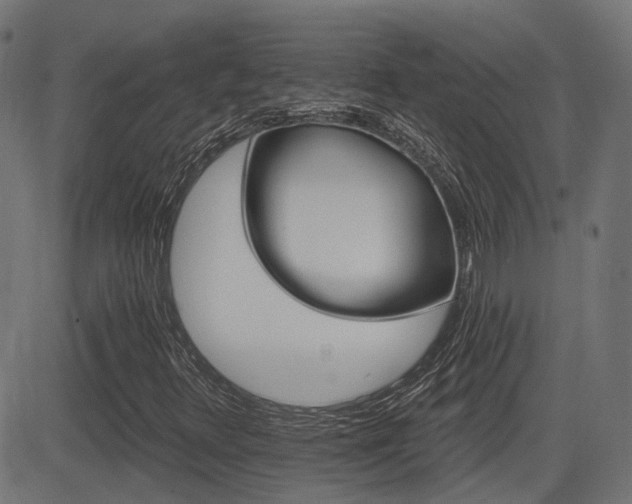 X0000081441348200701121155