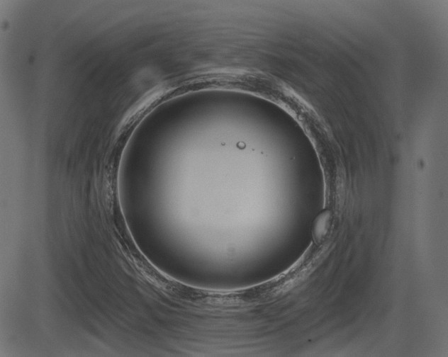 X0000081441354200701121155