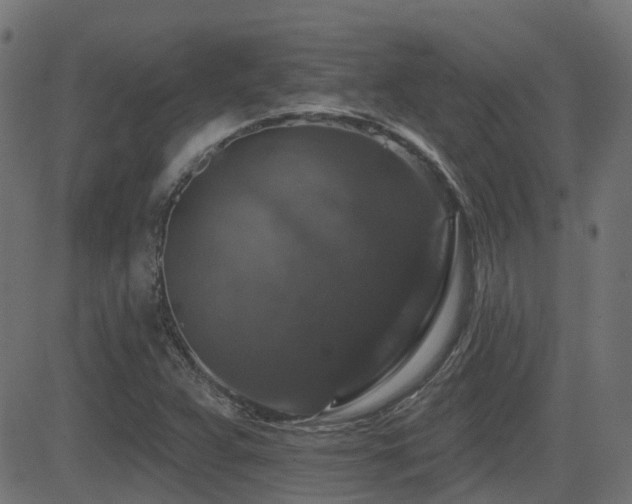 X0000081441359200701121155