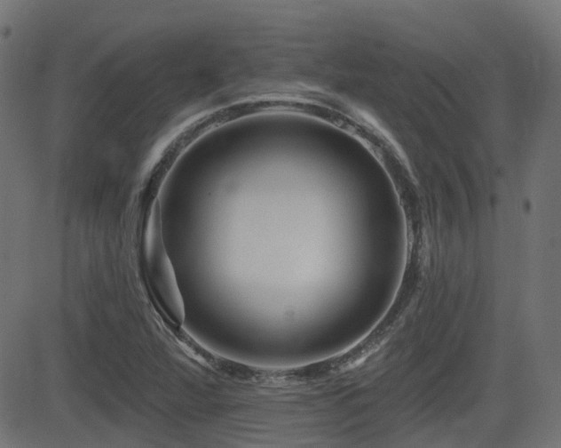 X0000081441360200701121155