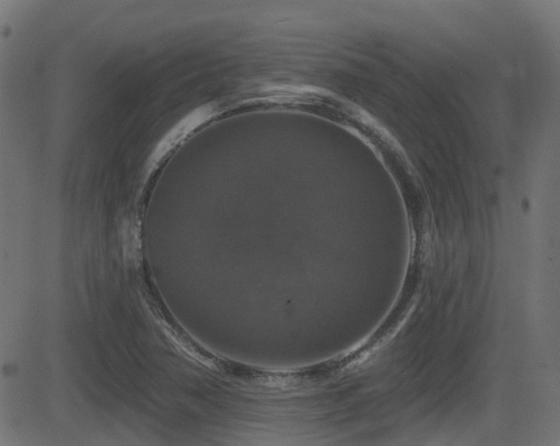 X0000081441362200701121155