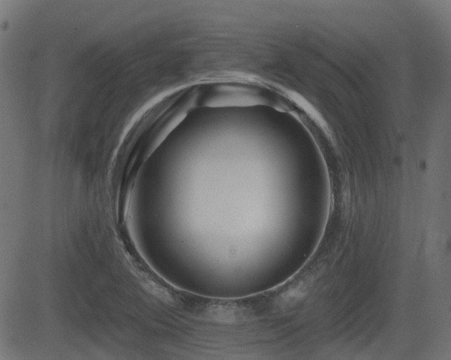 X0000081441364200701121155