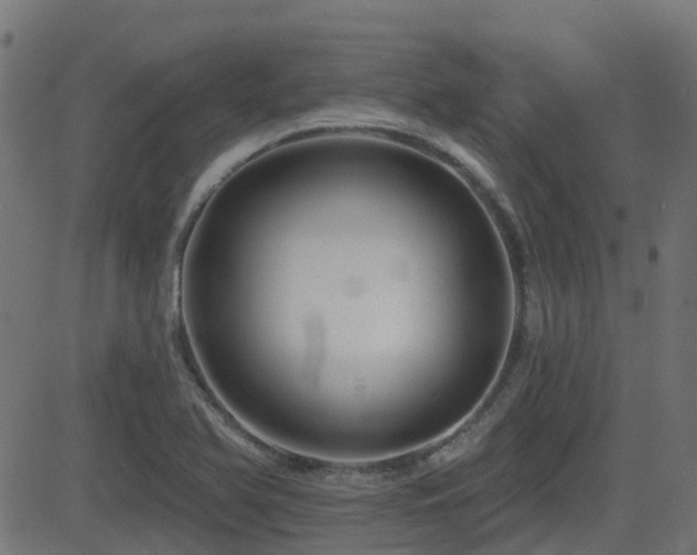X0000081441366200701121155