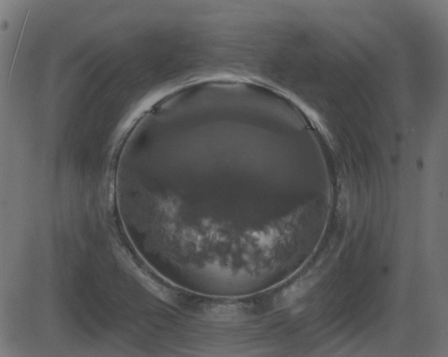 X0000081441367200701121155