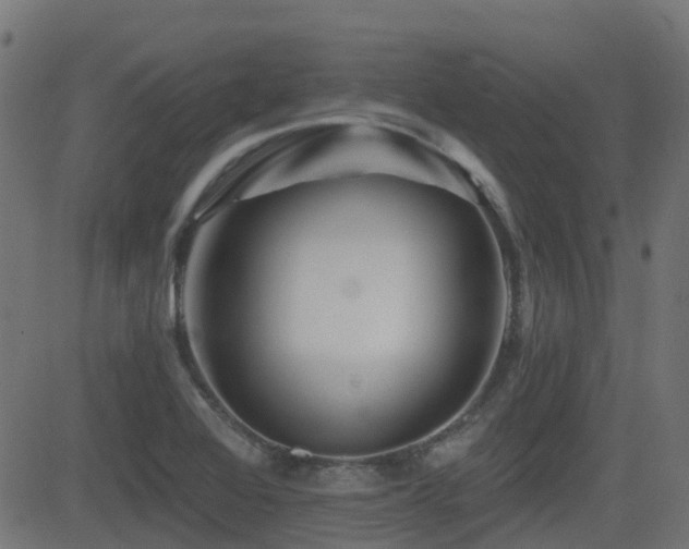 X0000081441368200701121155