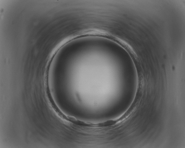 X0000081441375200701121155