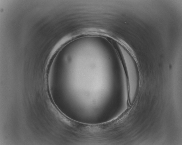 X0000081441384200701121155