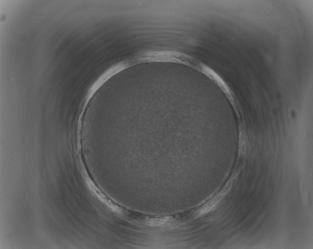 X0000081441386200701121155