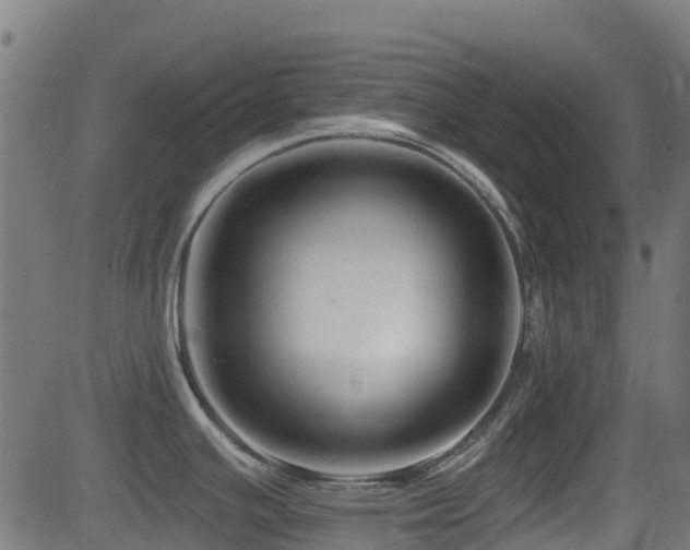 X0000081441391200701121155