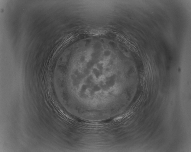 X0000081441393200701121154