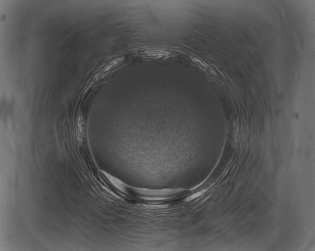X0000081441394200701121154
