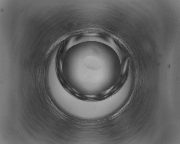 X0000081441402200701121154
