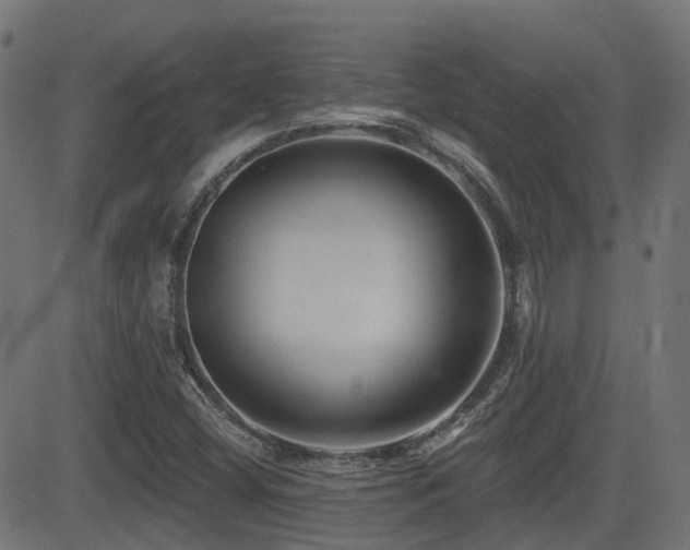 X0000081441404200701121154