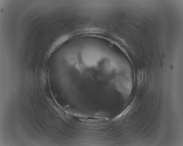 X0000081441405200701121154