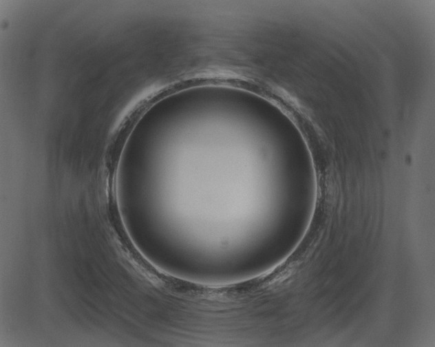 X0000081441408200701121154