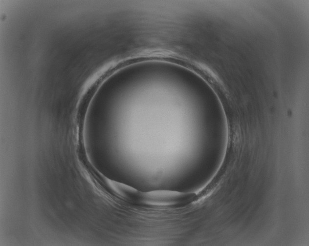 X0000081441414200701121154