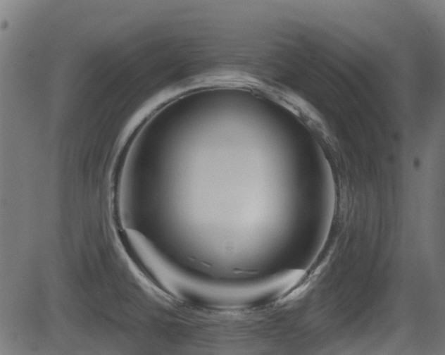 X0000081441430200701121154