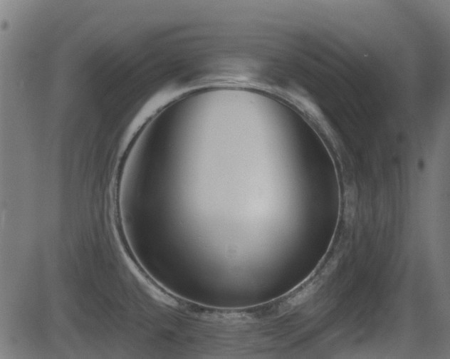 X0000081441432200701121155