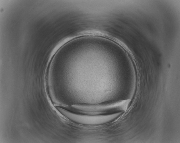 X0000081441440200701121155
