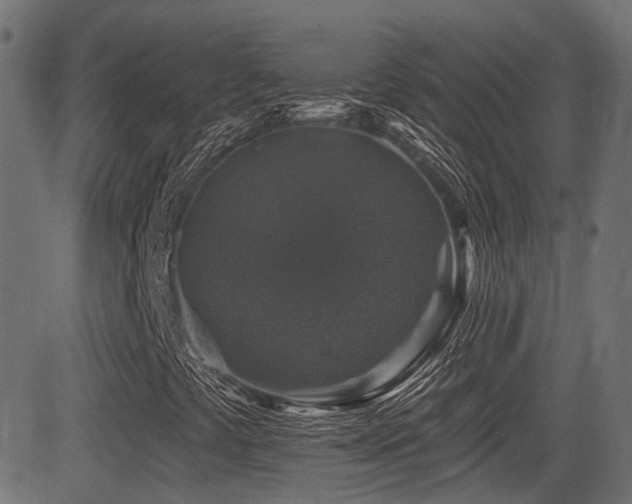 X0000081441441200701121154