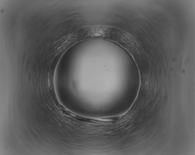 X0000081441442200701121154