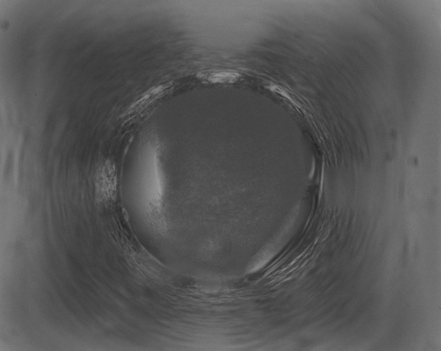 X0000081441443200701121154