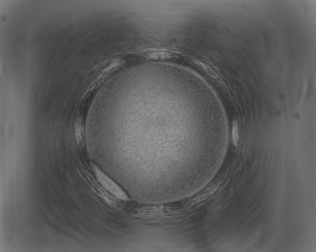 X0000081441444200701121154