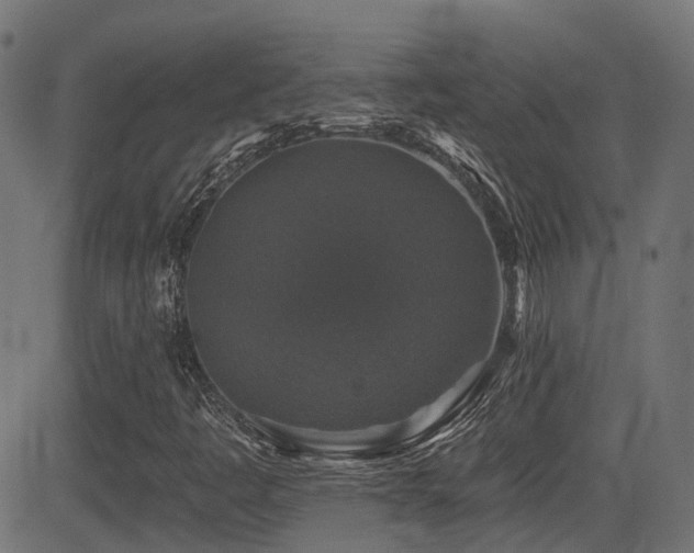 X0000081441445200701121154