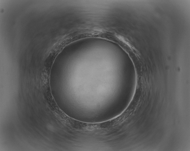 X0000081441447200701121154