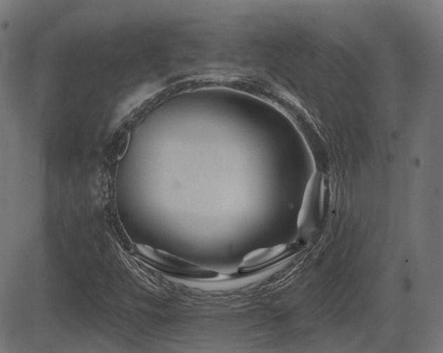 X0000081441448200701121154