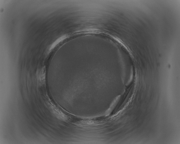 X0000081441450200701121154