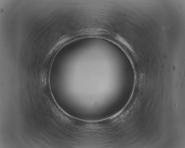X0000081441451200701121154