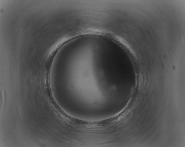 X0000081441455200701121154