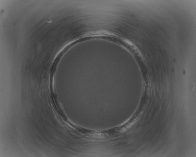 X0000081441457200701121154