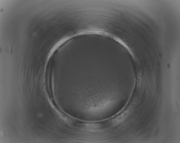 X0000081441469200701121153