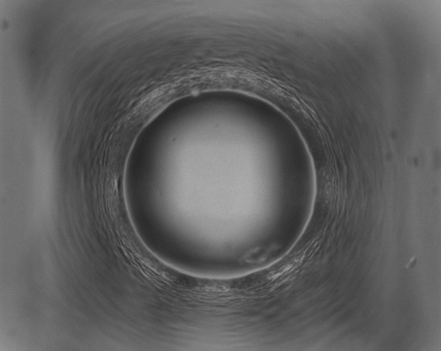 X0000081441489200701121152