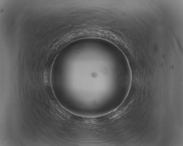 X0000081441490200701121152