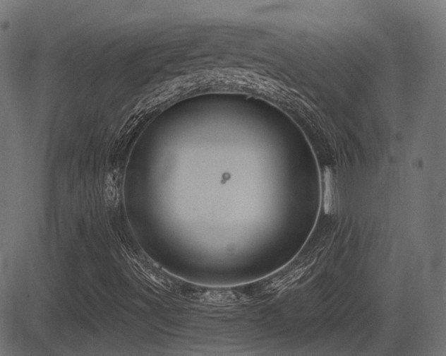 X0000081441491200701121152